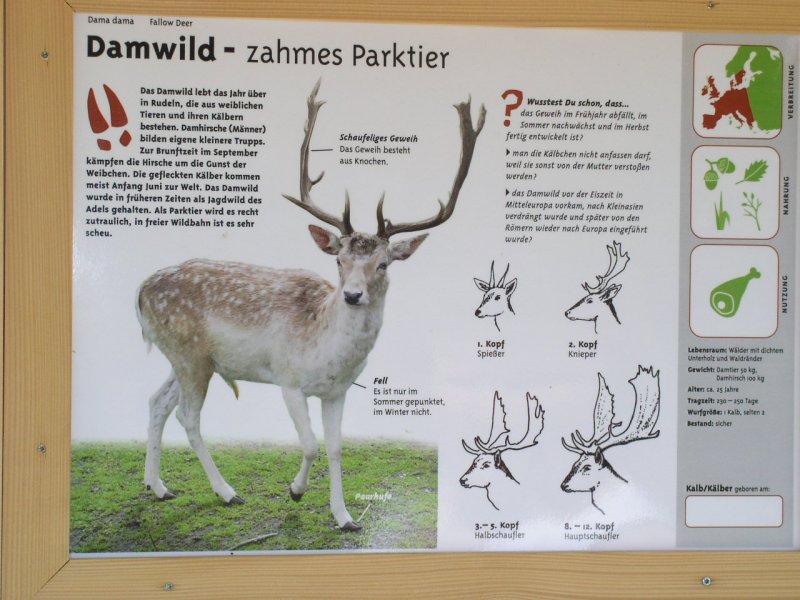Bergtierpark Hinweistafel Damhirsche