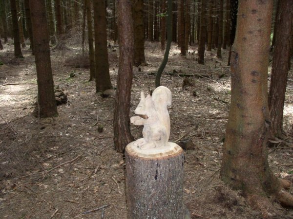 Bergtierpark geschnitztes Eichhrnchen