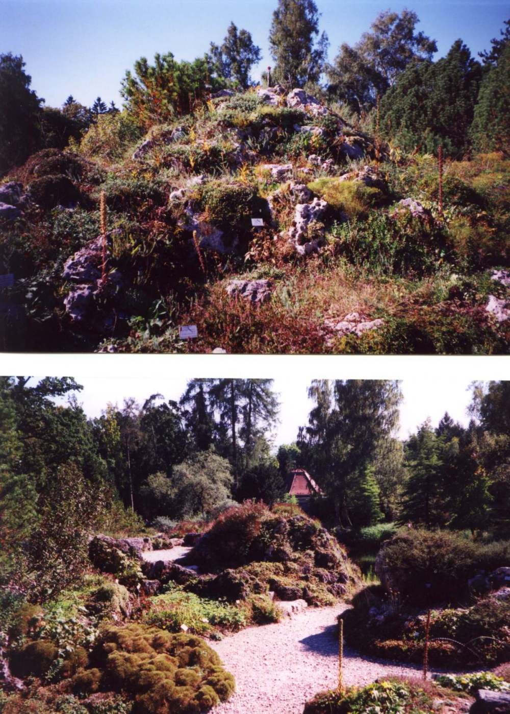 Botanischer Garten in Mnchen, September 2000